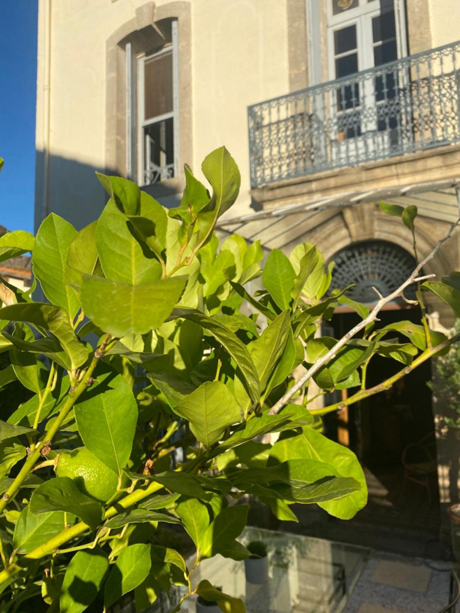 Le Jardin Hotel Aspiran Exterior foto